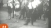 Cuplikan Layar Video Suasana Kedatangan Rombongan Misi Kesenian Hongaria pada 11 Maret 1965 di Kemayoran International Airport